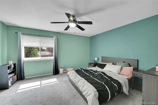 4000 Dove Ln, Evans, CO 80620 - photo 19
