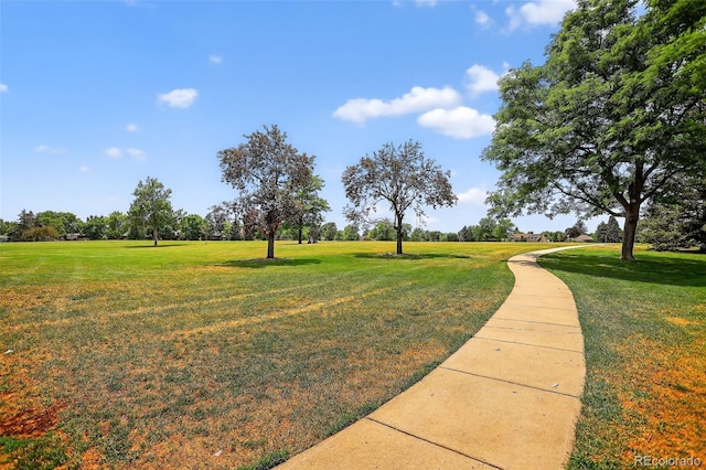 7643 S Cove Cir, Centennial, CO 80122 - photo 31