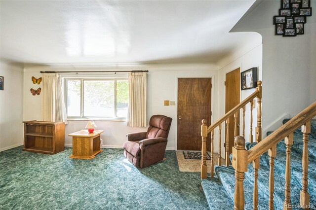 sitting room featuring carpet flooring