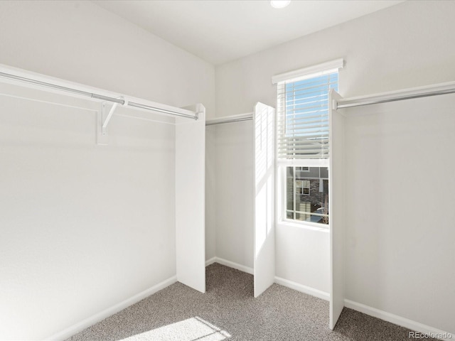 spacious closet with carpet