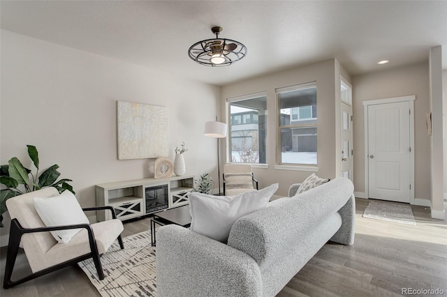 living room with hardwood / wood-style flooring and ceiling fan