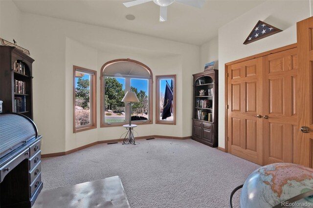 6240 Wilson Rd, Colorado Springs, CO 80919 - photo 25