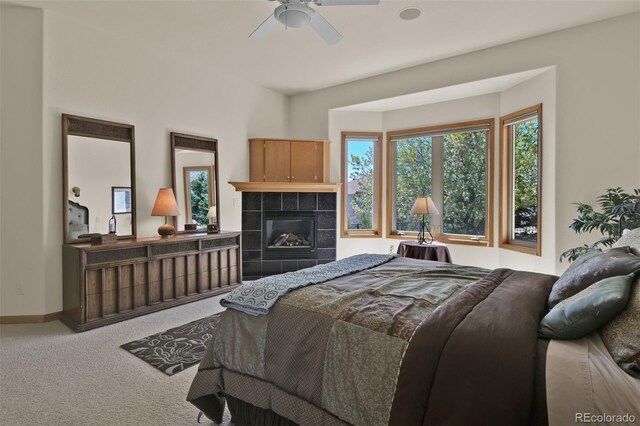 6240 Wilson Rd, Colorado Springs, CO 80919 - photo 27