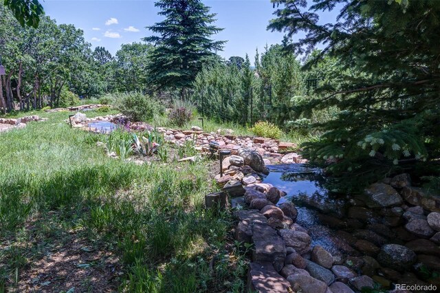 6240 Wilson Rd, Colorado Springs, CO 80919 - photo 43