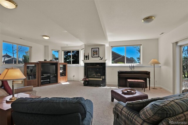 6240 Wilson Rd, Colorado Springs, CO 80919 - photo 31