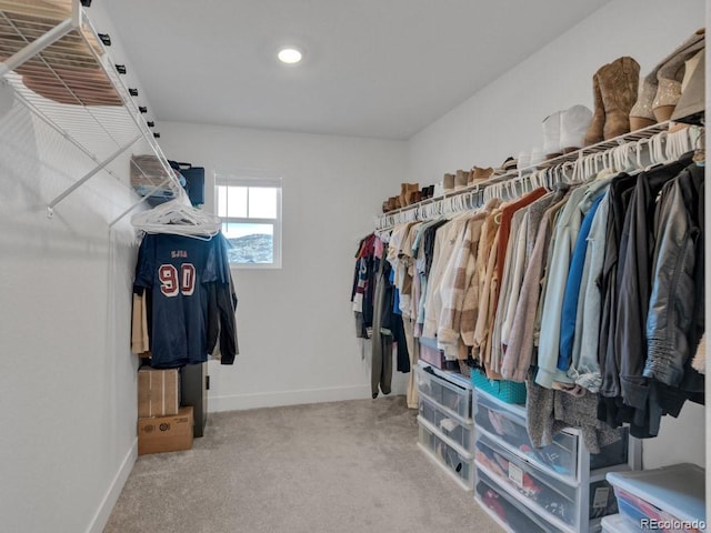 walk in closet with carpet floors