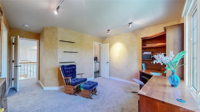 office space with rail lighting, carpet, and baseboards