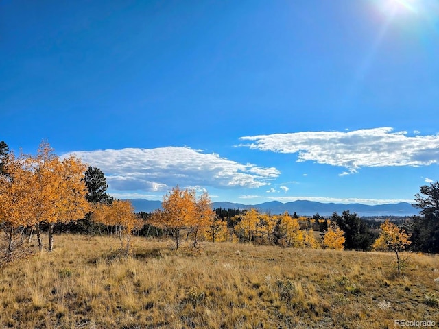 view of mountain feature