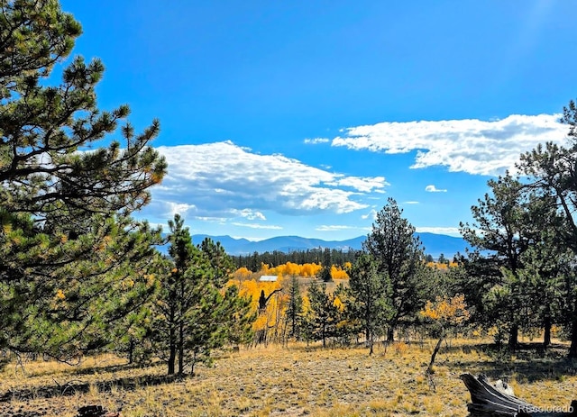 property view of mountains