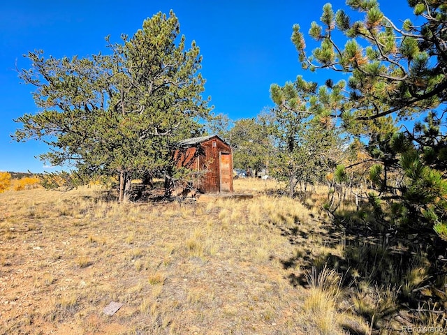 view of yard with a storage shed