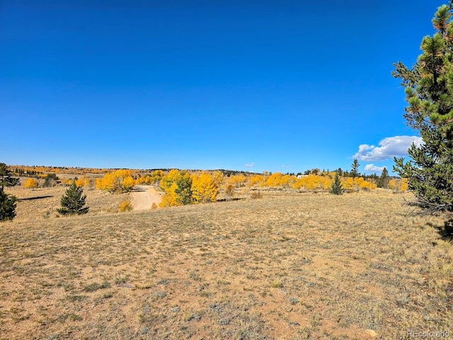 view of yard with a rural view