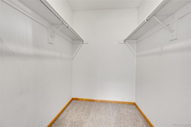 420 Zang St Unit 108, Lakewood, CO 80228 - view of walk in closet