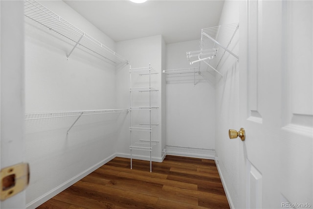 spacious closet featuring dark wood-type flooring