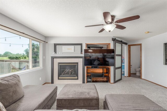 11256 Lima St, Commerce City, CO 80640 - photo 9
