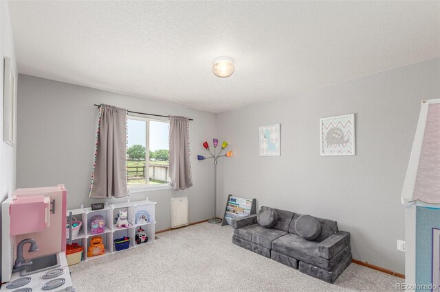 11256 Lima St, Commerce City, CO 80640 - photo 29