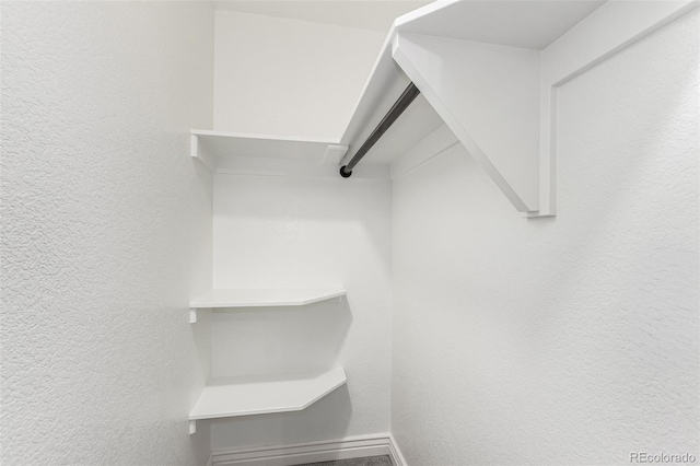 view of walk in closet