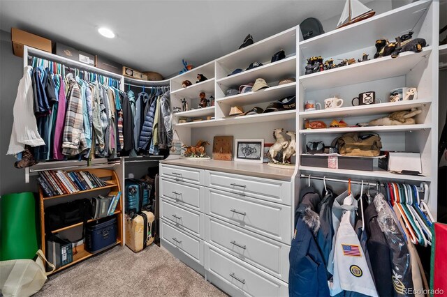 603 E 2nd Ave, Castle Rock, CO 80108 - spacious closet featuring carpet flooring