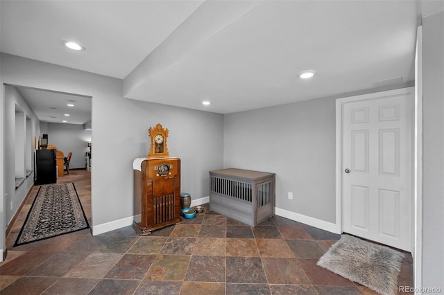 603 E 2nd Ave, Castle Rock, CO 80108 - entryway with stone tile floors and recessed lighting