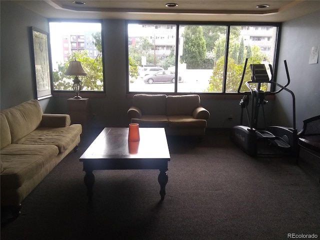 carpeted living room featuring plenty of natural light