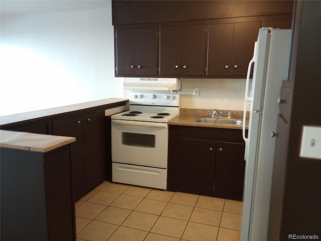 kitchen featuring dark brown cabinetry, white appliances, sink, and exhaust hood