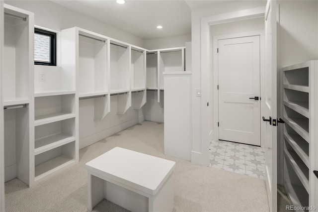1195 S Milwaukee St, Denver, CO 80210 - walk in closet with light carpet and light flooring