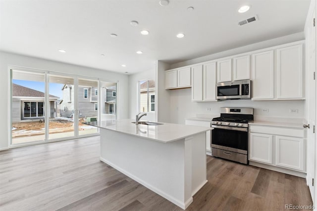 kitchen featuring stainless steel appliances, white cabinetry, sink, and a center island with sink