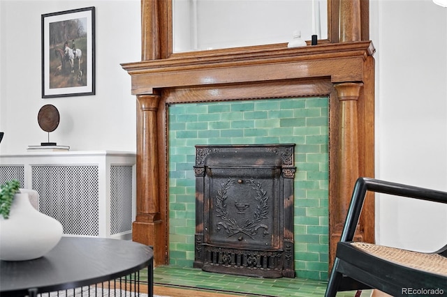 3330 W 30th Ave, Denver, CO 80211 - detailed view of a fireplace with flush hearth