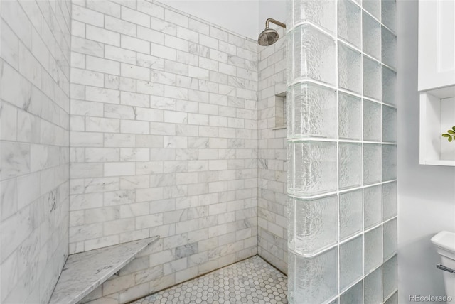 3330 W 30th Ave, Denver, CO 80211 - bathroom featuring a tile shower and toilet