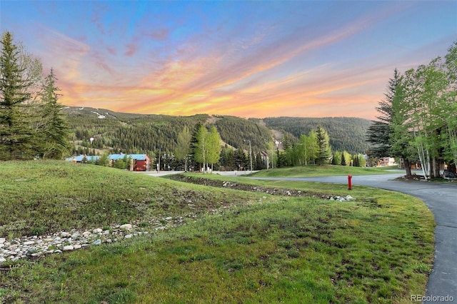 view of property's community featuring a yard, a forest view, and a mountain view