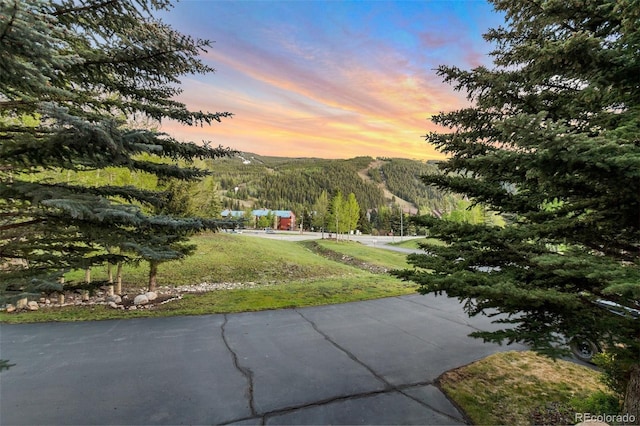 view of community with a yard and a mountain view