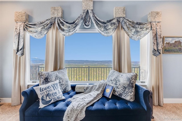 sitting room featuring plenty of natural light and carpet