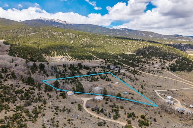 35395 US Highway 24, Buena Vista, CO 81211
