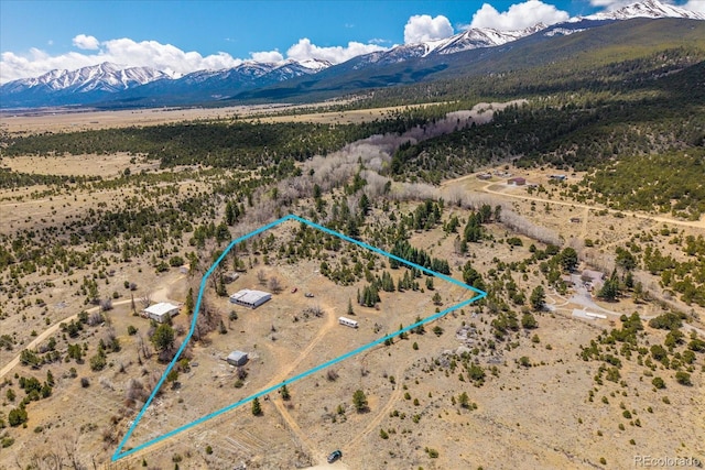 35395 US Highway 24, Buena Vista, CO 81211