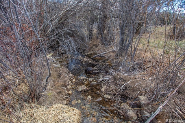 35395 US Highway 24, Buena Vista, CO 81211