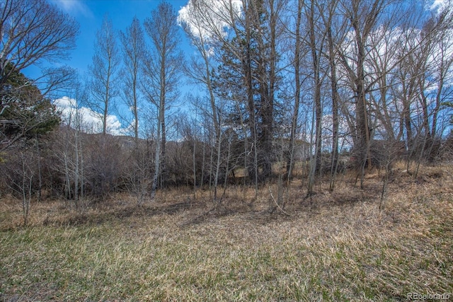 35395 US Highway 24, Buena Vista, CO 81211