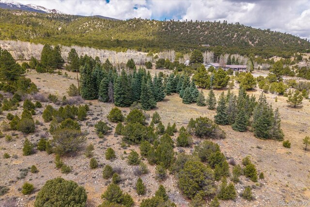 35395 US Highway 24, Buena Vista, CO 81211