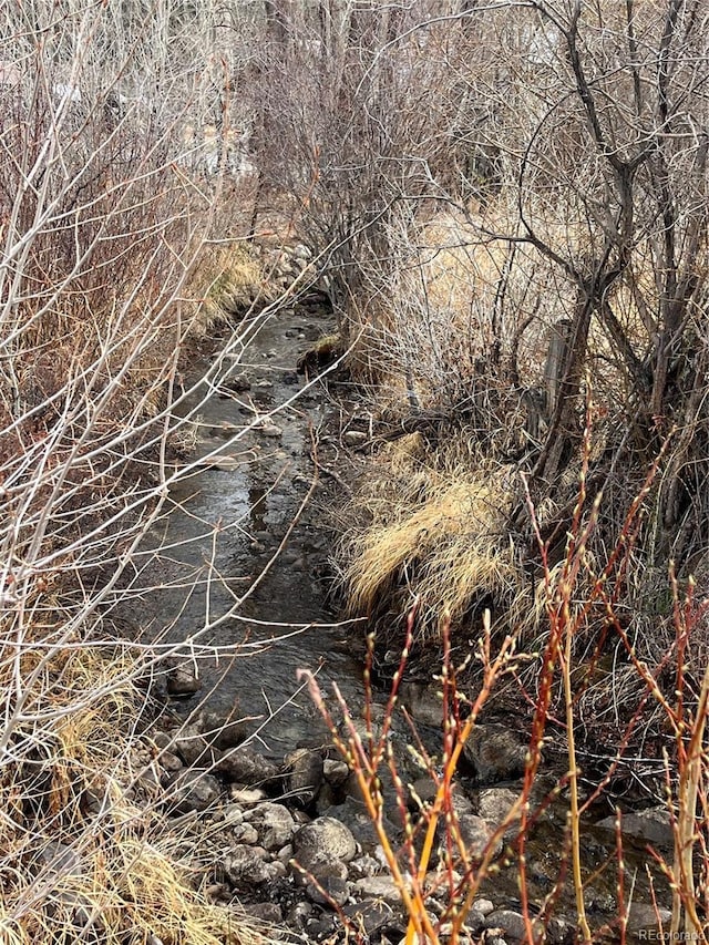 35395 US Highway 24, Buena Vista, CO 81211
