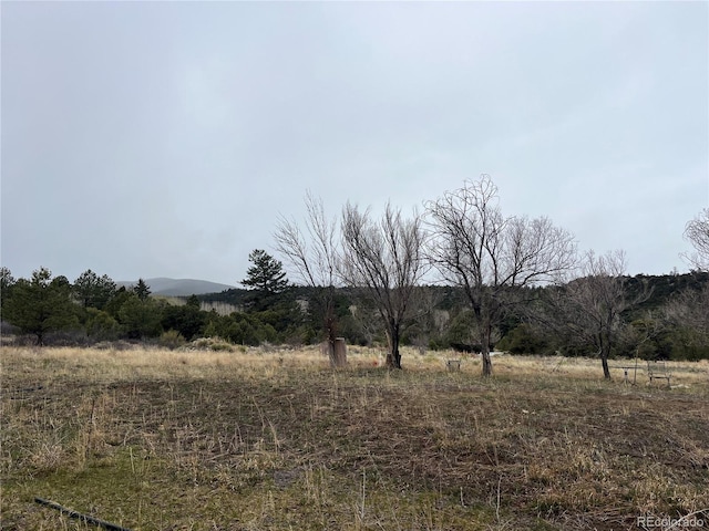 35395 US Highway 24, Buena Vista, CO 81211