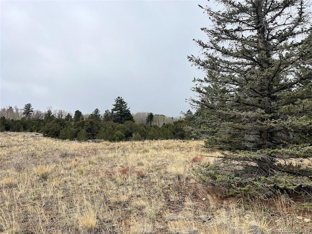 35395 US Highway 24, Buena Vista, CO 81211