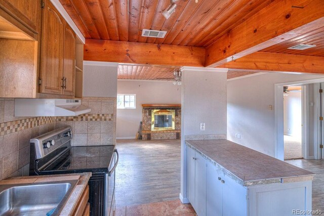 11 Hupp Rd, Bailey, CO 80421 - kitchen with backsplash, stainless steel electric range oven, wood ceiling, a ceiling fan, and a peninsula