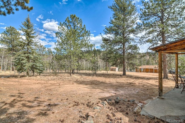 11 Hupp Rd, Bailey, CO 80421 - view of yard