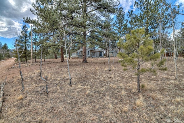 11 Hupp Rd, Bailey, CO 80421 - view of yard