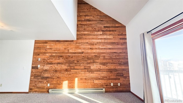 details featuring baseboard heating, carpet, and wood walls