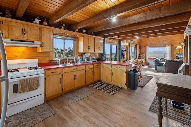 7256 Jefferson Rd, Hartsel, CO 80449 - photo 18