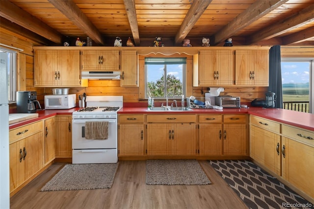7256 Jefferson Rd, Hartsel, CO 80449 - photo 19
