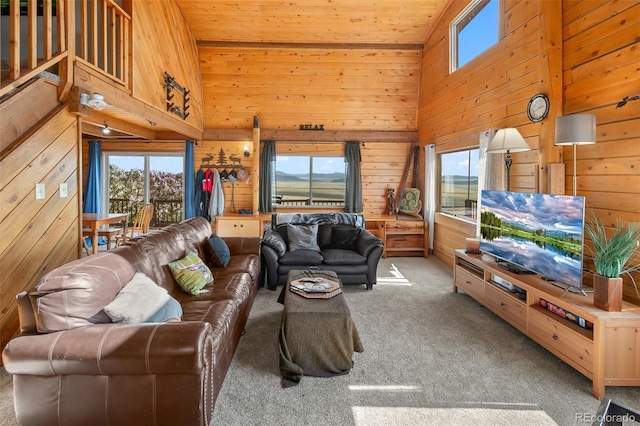7256 Jefferson Rd, Hartsel, CO 80449 - photo 23