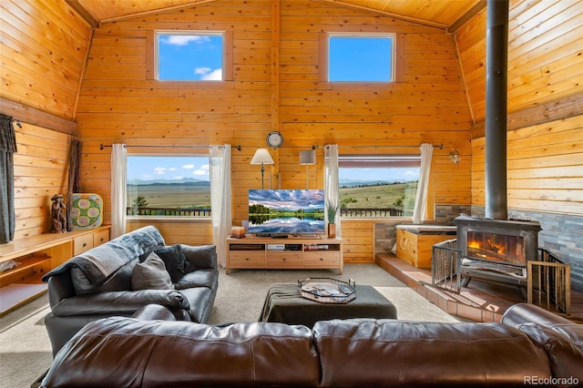 7256 Jefferson Rd, Hartsel, CO 80449 - photo 25