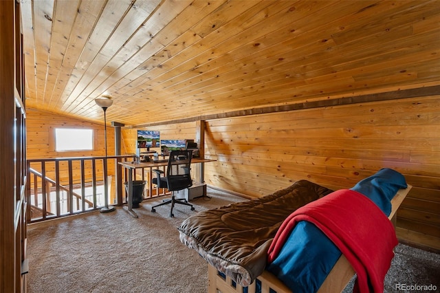 7256 Jefferson Rd, Hartsel, CO 80449 - photo 27