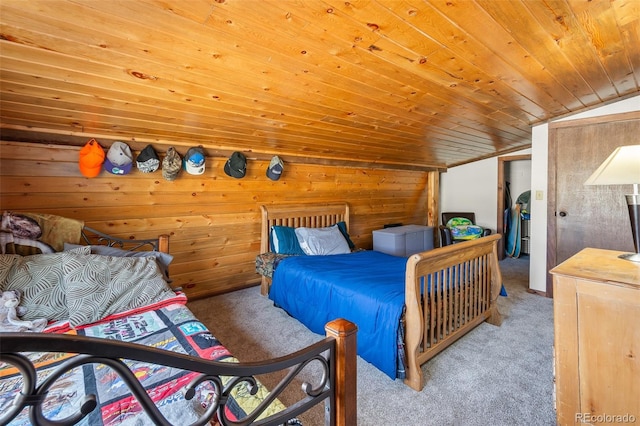 7256 Jefferson Rd, Hartsel, CO 80449 - photo 33