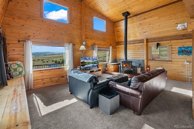 7256 Jefferson Rd, Hartsel, CO 80449 - photo 38